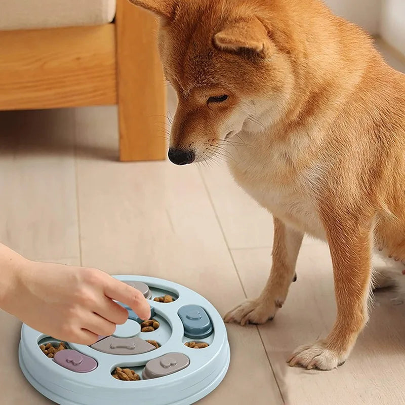 Interactive Slow Feeder, Educational Puzzle Bowl for Dogs